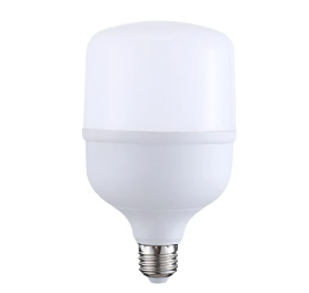 GENERIC LED globe bulb T80 20W E27