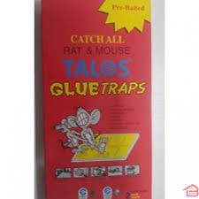 GENERIC TALOS PIEGE A COLLE SOURIS/RAT [8809010511092]