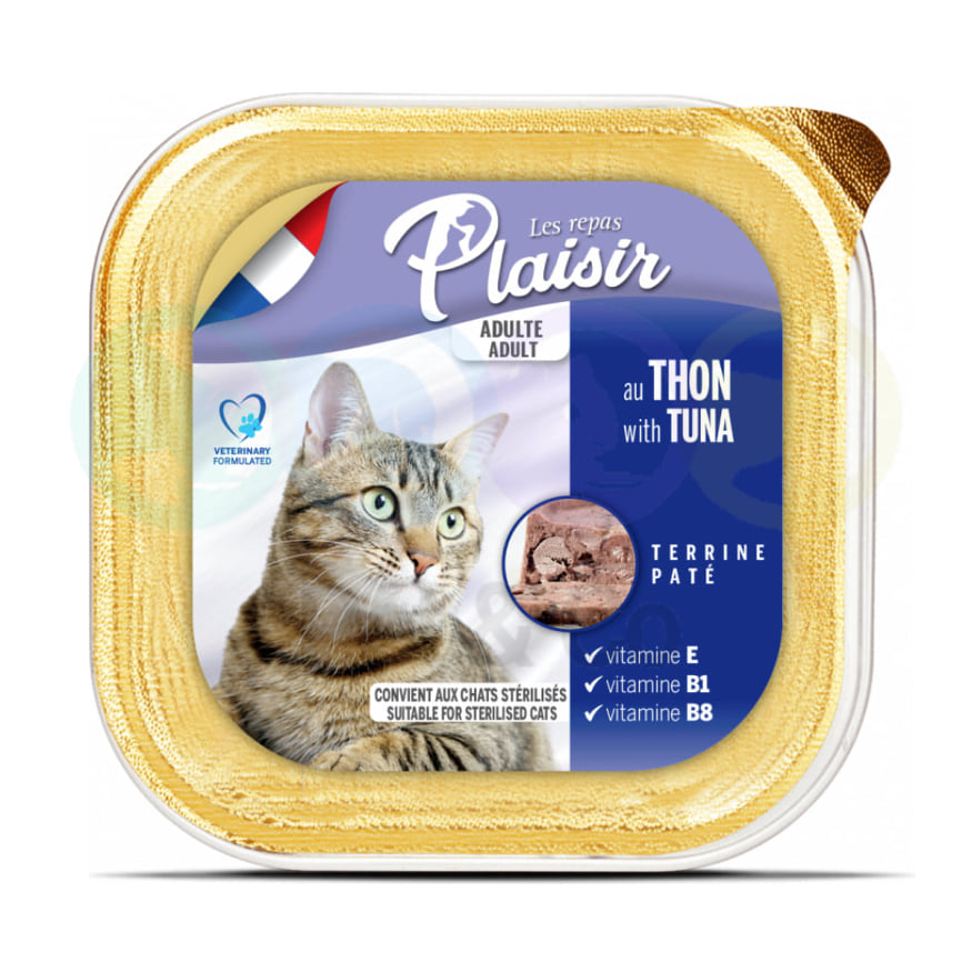 PATE PLAISIR ADULT