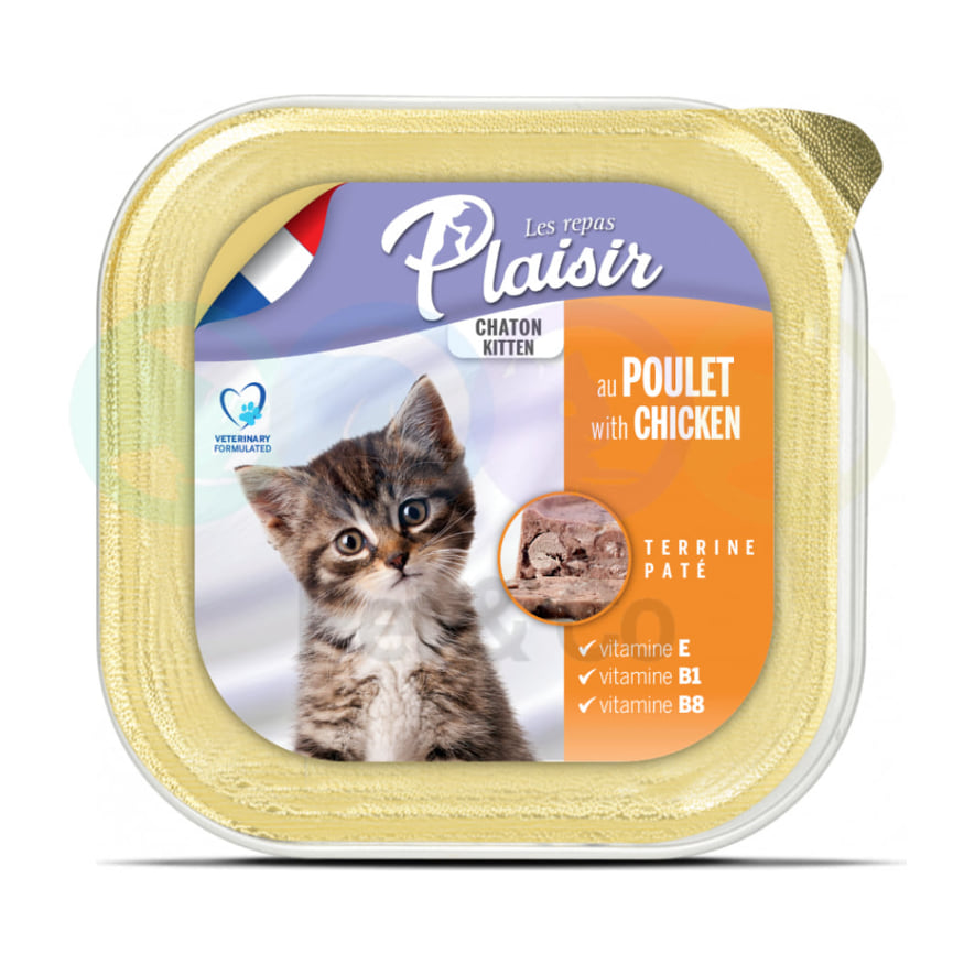 PATE PLAISIR KITTEN