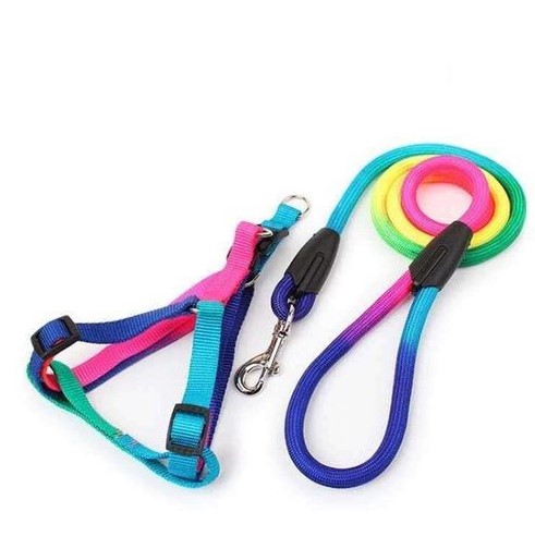 GENERIC CINTURE POUR CHIEN ET CHAT 
