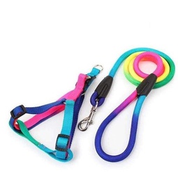 GENERIC CINTURE POUR CHIEN ET CHAT [2001182700007]